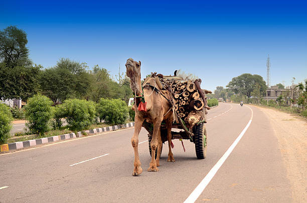 Istockphoto 486691193 612x612